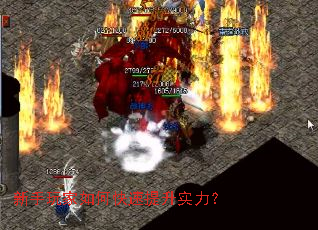 新手玩家如何快速提升实力？