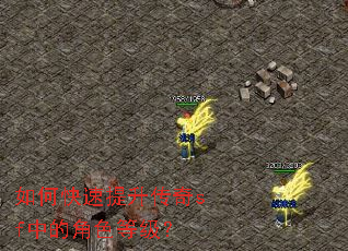 如何快速提升传奇sf中的角色等级? 如何快速提升传奇sf中的角色等级?