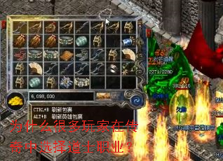 为什么很多玩家在传奇中选择道士职业？