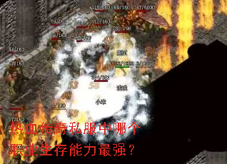 热血传奇私服中哪个职业生存能力最强? 热血传奇私服中哪个职业生存能力最强?