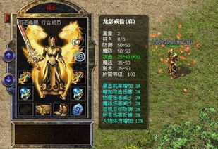 新开网通传奇私发服,经典复古游戏体验全解析