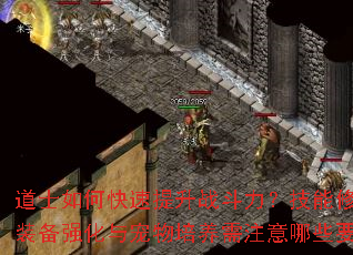 道士如何快速提升战斗力？技能修炼、装备强化与宠物培养需注意哪些要点？