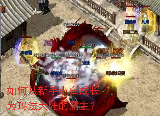 如何从新手小白成长为玛法大陆的霸主? 如何从新手小白成长为玛法大陆的霸主?