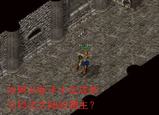 如何从新手小白成长为玛法大陆的霸主? 如何从新手小白成长为玛法大陆的霸主?