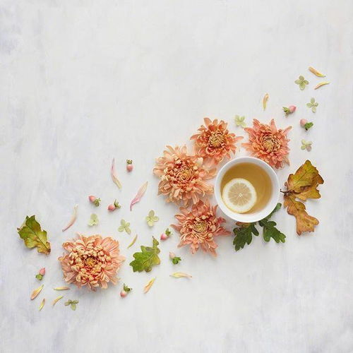 新开手游传奇一区的独特魅力与机遇