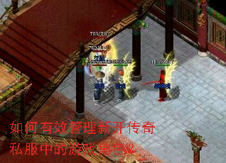 如何有效管理新开传奇私服中的游戏角色？