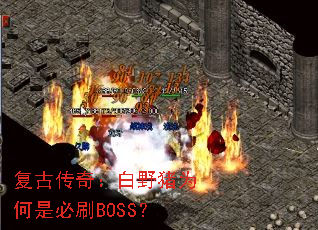 复古传奇:白野猪为何是必刷BOSS? 复古传奇:白野猪为何是必刷BOSS?