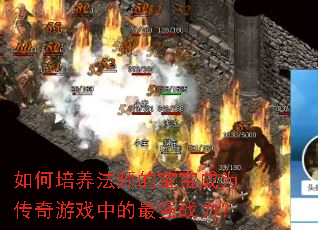 如何培养法师的宝宝成为传奇游戏中的最强战力? 如何培养法师的宝宝成为传奇游戏中的最强战力?