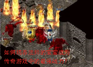 如何培养法师的宝宝成为传奇游戏中的最强战力? 如何培养法师的宝宝成为传奇游戏中的最强战力?