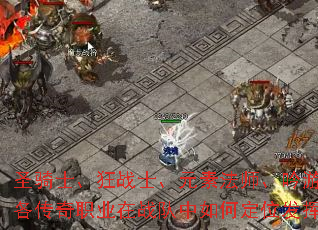 圣骑士、狂战士、元素法师、吟游诗人，各传奇职业在战队中如何定位发挥优势？