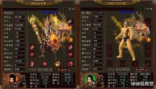 新开传奇私服网站,最新开服信息与安全指南-全面解析