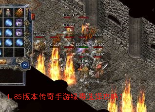 1.85版本传奇手游绿毒选择攻略？