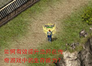 如何有效提升法师在传奇游戏中的生存能力？