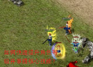 如何快速提升角色等级并掌握核心技能? 如何快速提升角色等级并掌握核心技能?