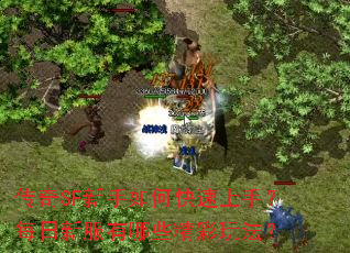 传奇SF新手如何快速上手？每日新服有哪些精彩玩法？