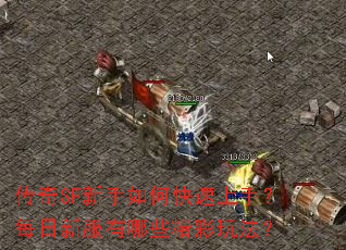 传奇SF新手如何快速上手？每日新服有哪些精彩玩法？