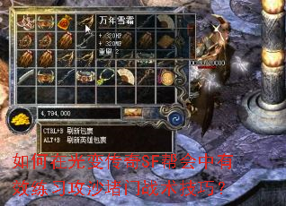如何在光变传奇SF帮会中有效练习攻沙堵门战术技巧？