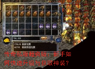 传奇私服超爽版：新手如何快速升级与获取神装？