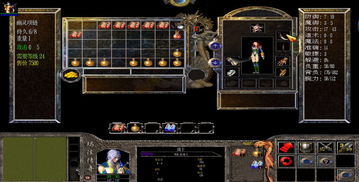 仿盛大传奇sf发布网,游戏私服资源平台-全面解析与运营指南