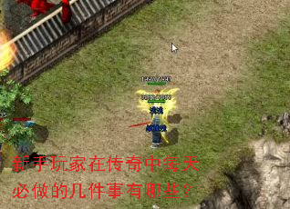 新手玩家在传奇中每天必做的几件事有哪些？