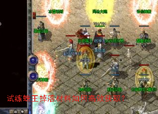 试练蛛王掉落材料如何高效获取？