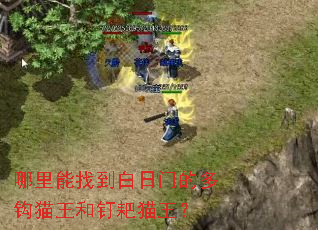 哪里能找到白日门的多钩猫王和钉耙猫王？