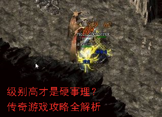 级别高才是硬事理?传奇游戏攻略全解析 级别高才是硬事理?传奇游戏攻略全解析