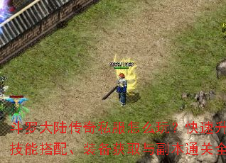 斗罗大陆传奇私服怎么玩？快速升级、技能搭配、装备获取与副本通关全攻略