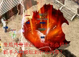 冬瓜传奇现在运营得怎么样？新手入坑能玩到什么内容？