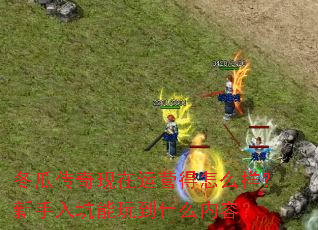 冬瓜传奇现在运营得怎么样？新手入坑能玩到什么内容？