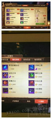 传奇微变发布网概述与功能解析