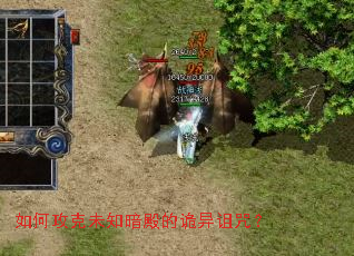 如何攻克未知暗殿的诡异诅咒？