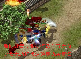 新区开荒职业如何选?五大核心要素助你快速锁定优势定位 新区开荒职业如何选?五大核心要素助你快速锁定优势定位