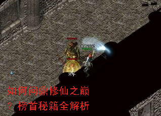 如何问鼎修仙之巅？榜首秘籍全解析