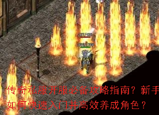 传奇私服开服必备攻略指南？新手如何快速入门并高效养成角色？
