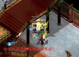 如何快速提升仙魔转生等级？