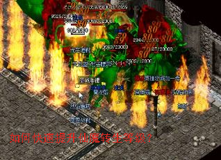 如何快速提升仙魔转生等级？