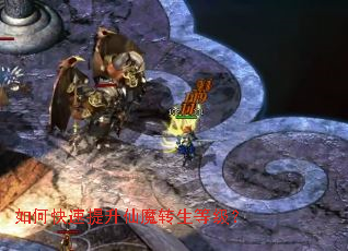 如何快速提升仙魔转生等级？