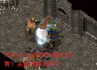 传奇战士如何提升输出伤害？关键技能有哪些？