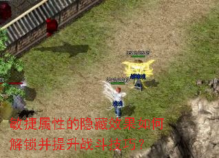 敏捷属性的隐藏效果如何解锁并提升战斗技巧? 敏捷属性的隐藏效果如何解锁并提升战斗技巧?