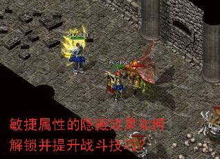 敏捷属性的隐藏效果如何解锁并提升战斗技巧? 敏捷属性的隐藏效果如何解锁并提升战斗技巧?
