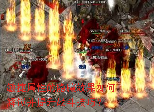 敏捷属性的隐藏效果如何解锁并提升战斗技巧? 敏捷属性的隐藏效果如何解锁并提升战斗技巧?