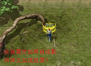 装备属性如何直接影响碑文加成效果？