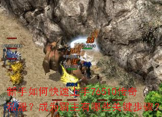 新手如何快速上手76510传奇私服？成为霸主有哪些关键步骤？