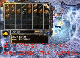 新手如何快速上手76510传奇私服？成为霸主有哪些关键步骤？