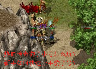 热血传奇豹子小号怎么玩？新手如何快速上手豹子号？