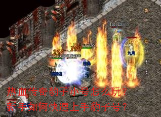 热血传奇豹子小号怎么玩？新手如何快速上手豹子号？