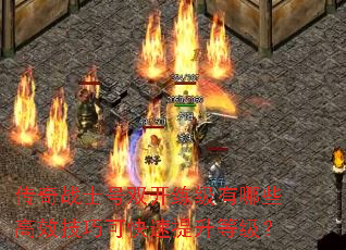 传奇战士号双开练级有哪些高效技巧可快速提升等级？