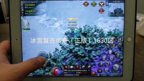 手游哪个传奇私服能赚钱,盈利模式与风险分析