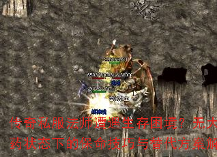 传奇私服法师遭遇生存困境？无大红药状态下的保命技巧与替代方案解析